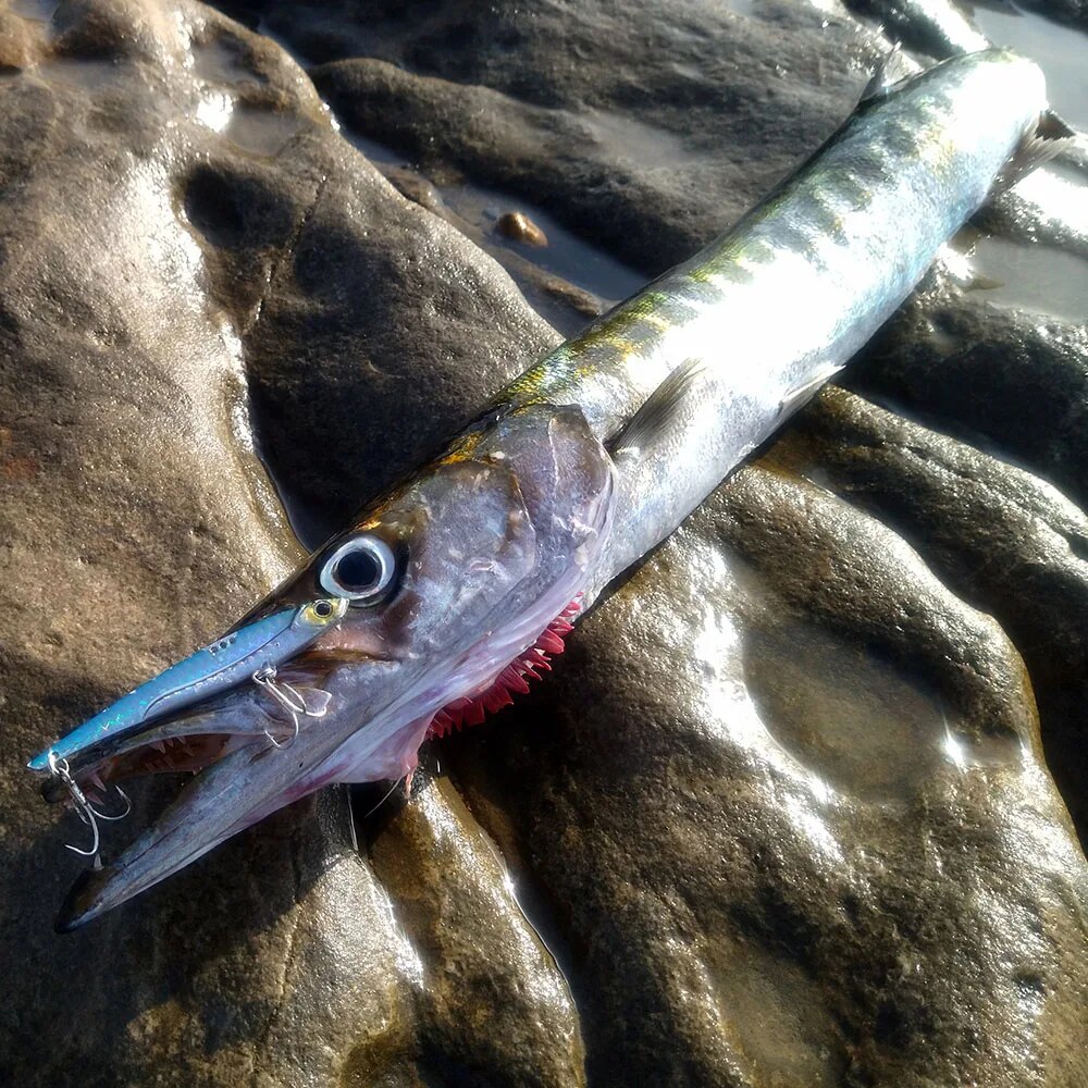 Goabatit vib isca de pesca 20g - Fishing Lure Blade Bait avaliação e preço