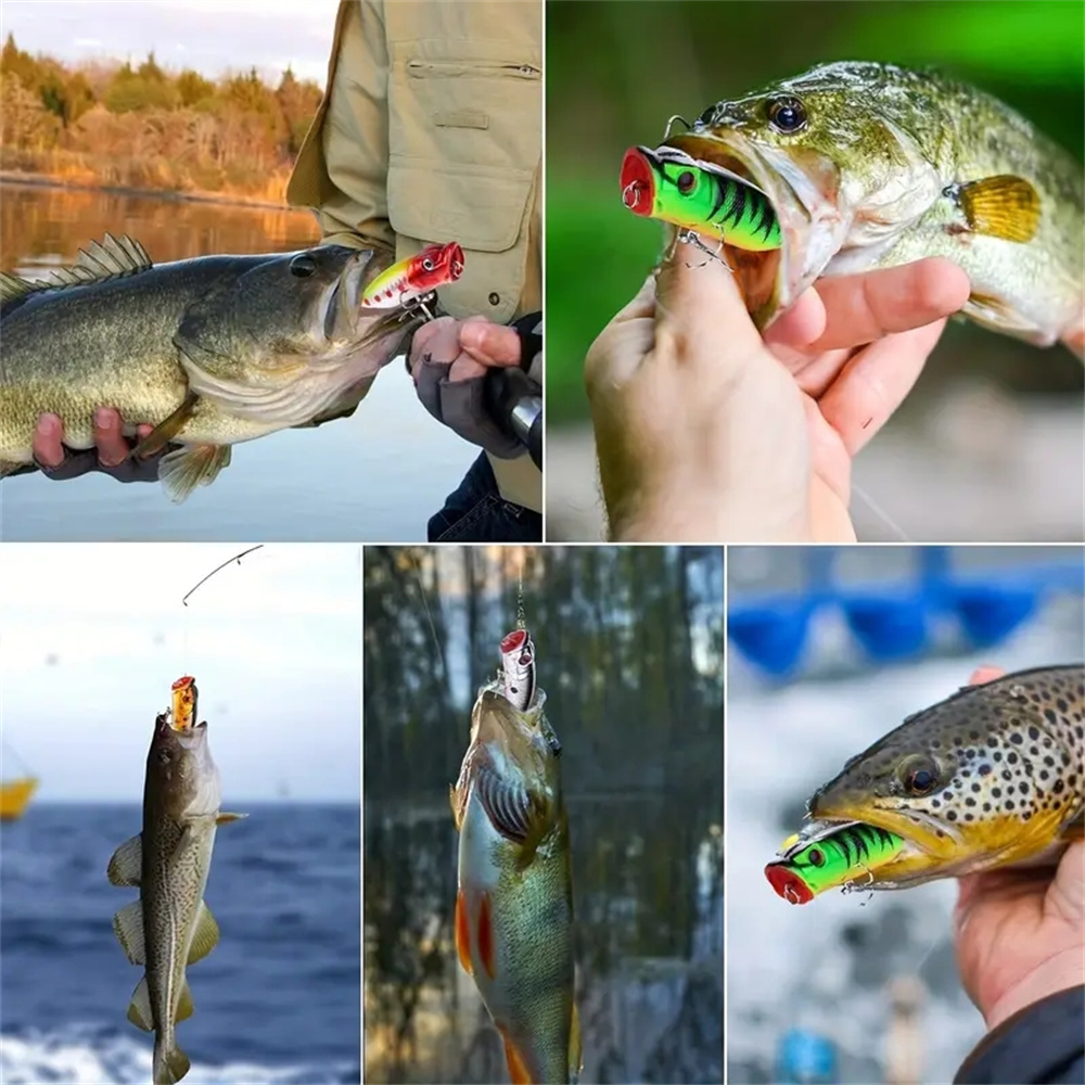 5 unidades de iscas de pesca p - Fishing Lure Popper avaliação e preço